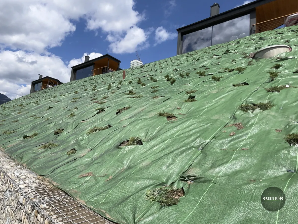 Гірський схил: після