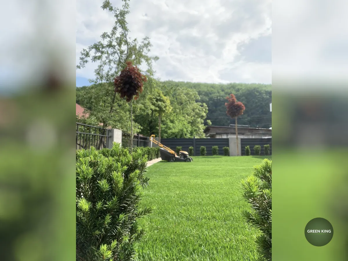 Укладання рудлнного газону